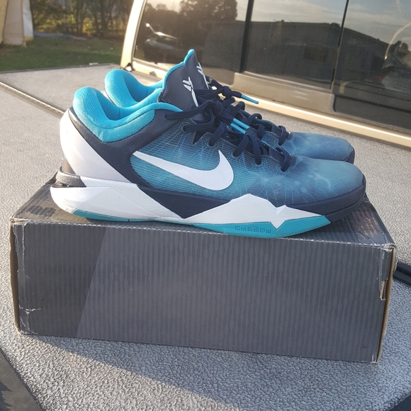 kobe 7 shark